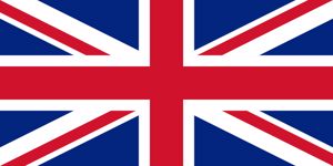 The Brexit Vote