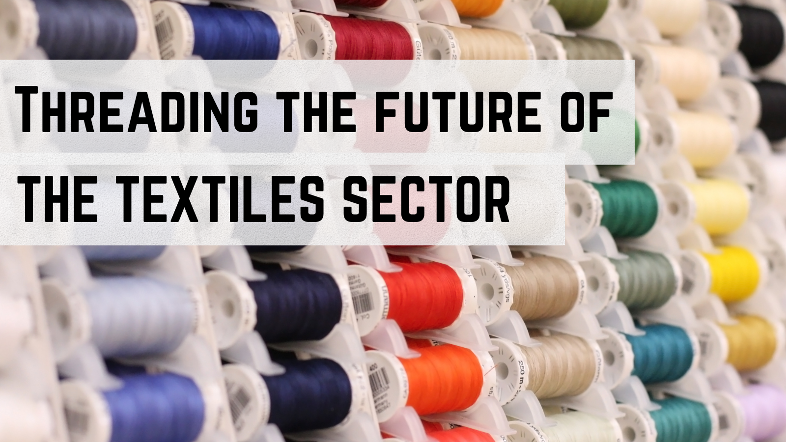 Threading the future of the Textile sector: skills development for a Just Transition